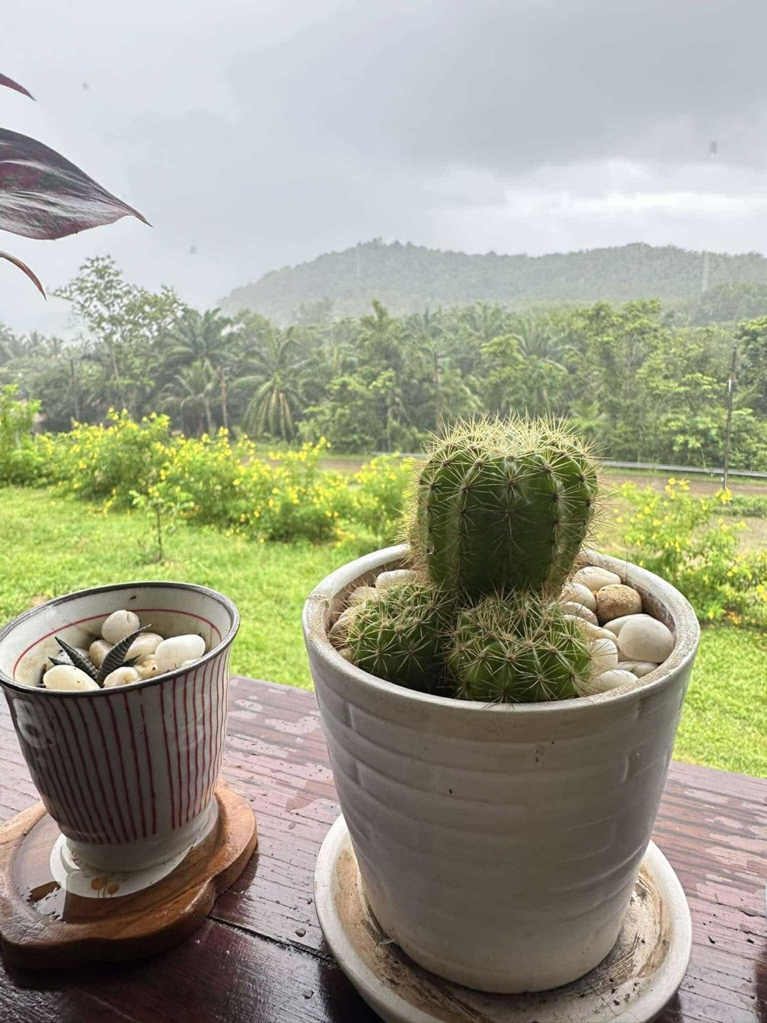 บ้านสวนปิยนันท์ Ko Yao Noi Buitenkant foto